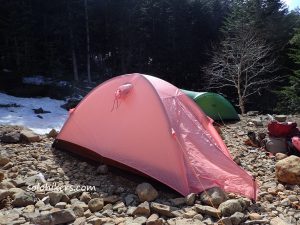 ツクモグサ咲いたよ 行者小屋テント泊 17 05 27 土 28 日 単独登山