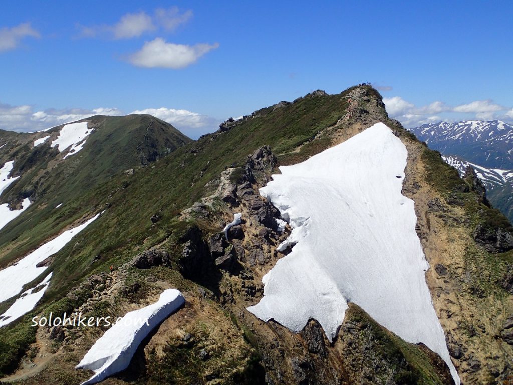 梅雨晴れの谷川岳 チングルマと大絶景 西黒尾根より 17 6 11 日 単独登山