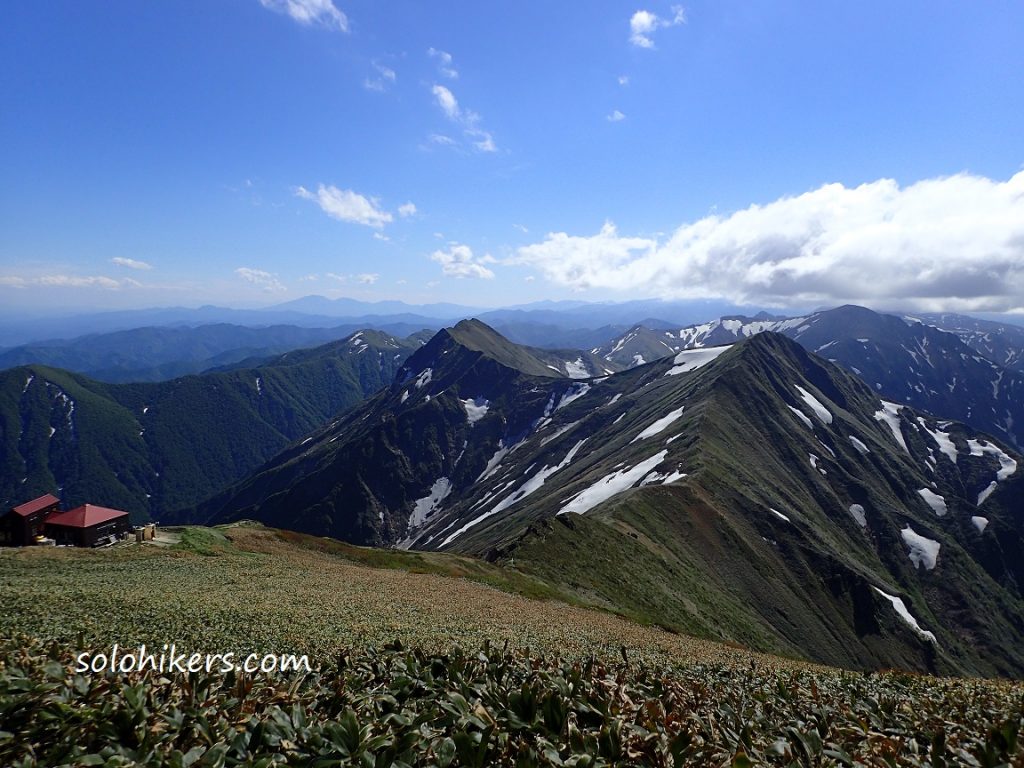 梅雨晴れの谷川岳 チングルマと大絶景 西黒尾根より 17 6 11 日 単独登山