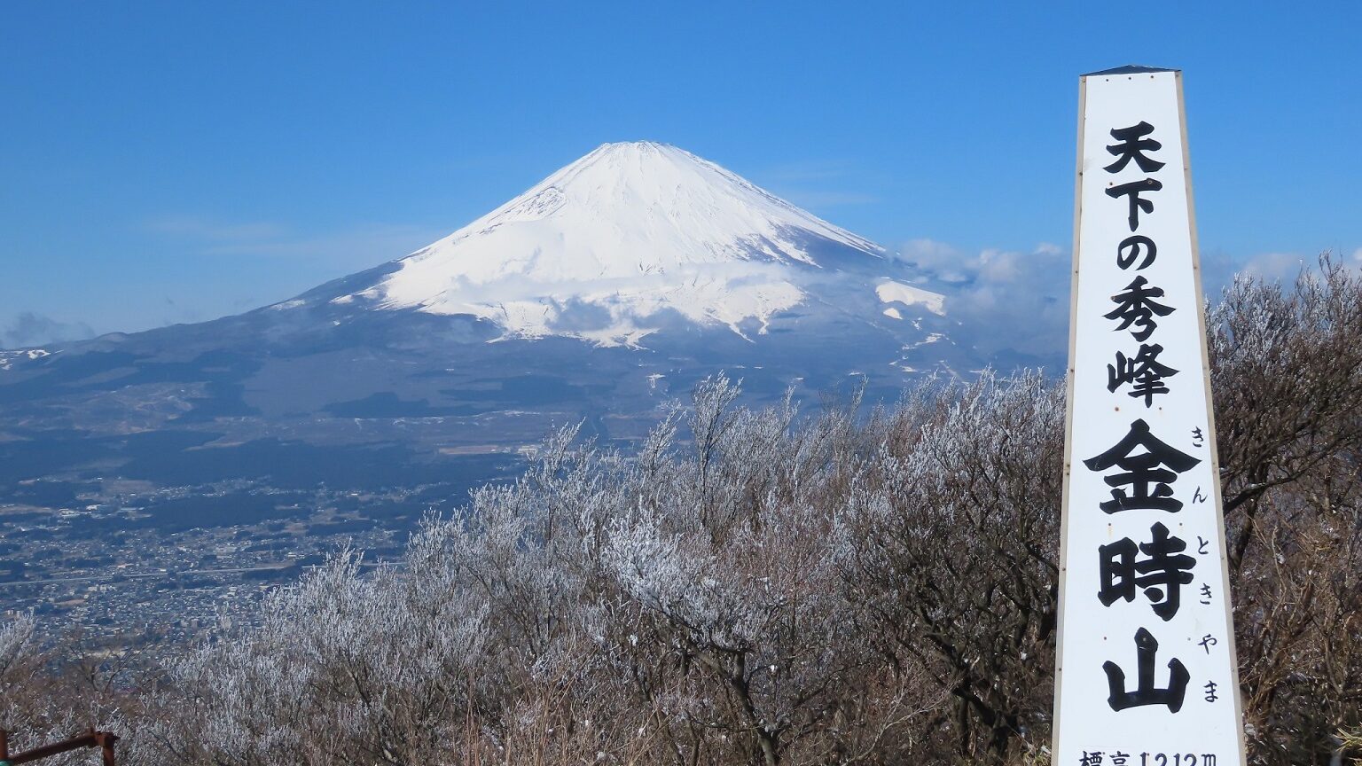 初めての金時山～明神ヶ岳＊富士の眺望と雪山を楽しむ 2023/2/17