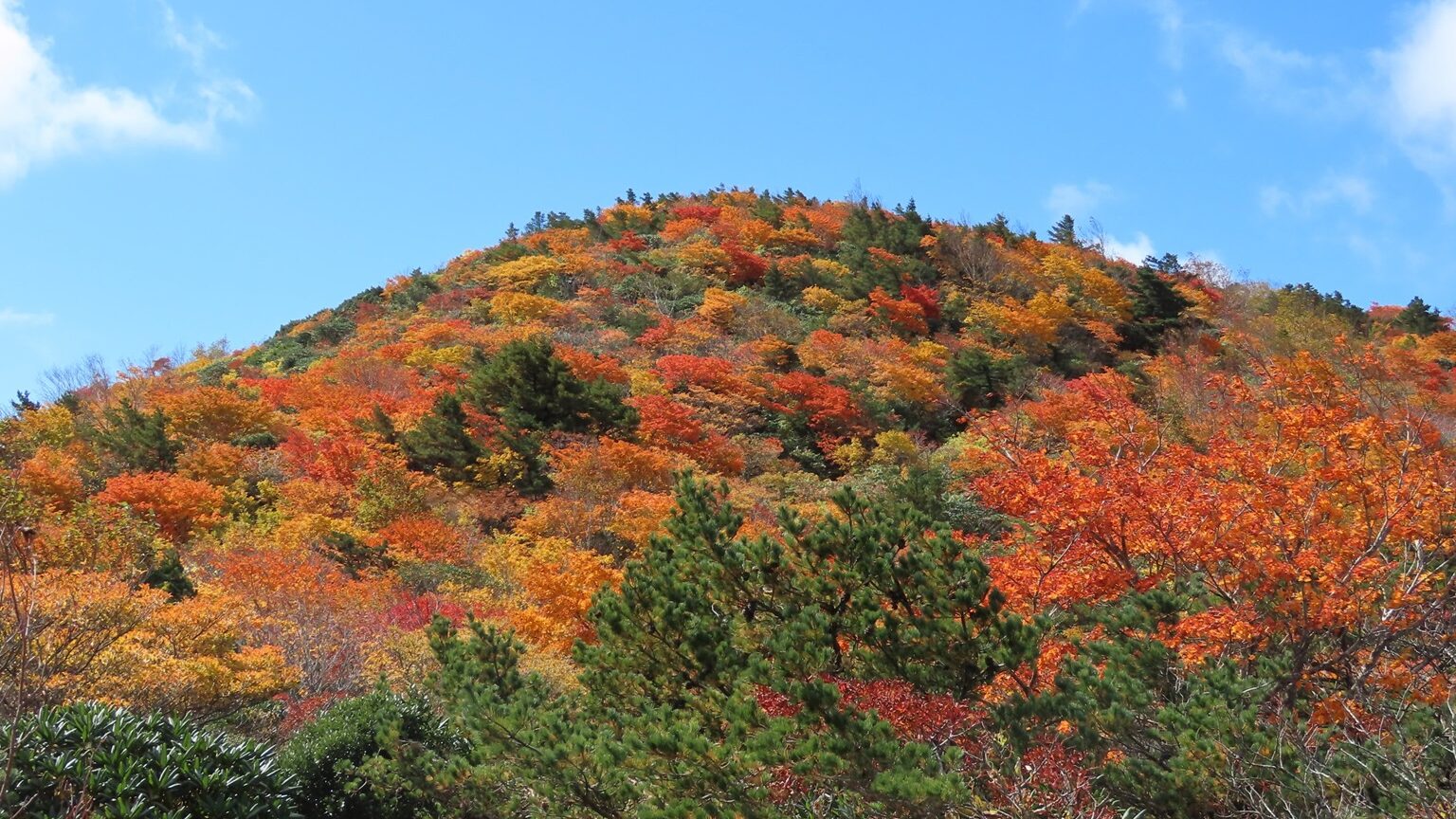 空と山の間で Miyama Community Square] I drove through the rough road